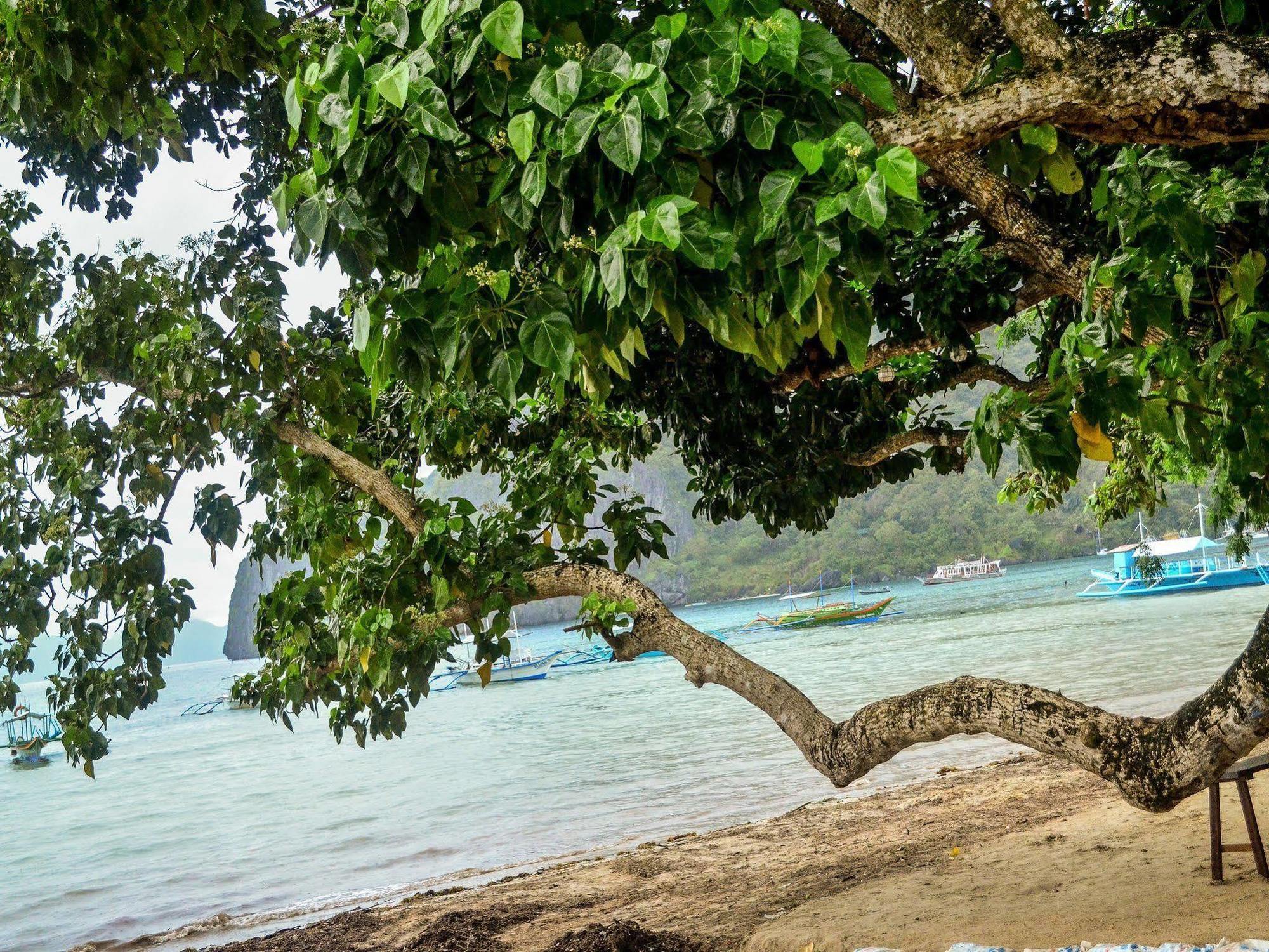 Dormitelsph El Nido Hostel Ngoại thất bức ảnh